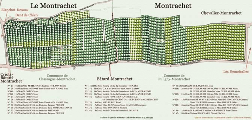 mappa montrachet