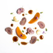 19 Luca Abbruzzino insalata di rognoncini di coniglio albicocche e vermut