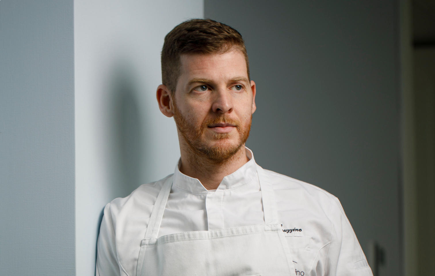 Luca Abruzzino cover bio