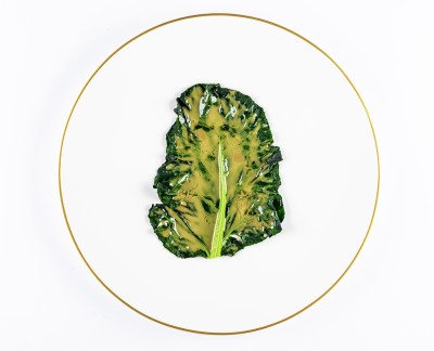 niko romito foglia di broccolo e anice copertina scheda chef