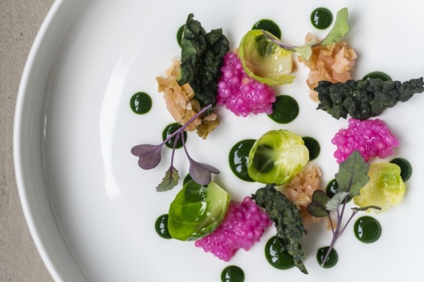 Coltivare scheda ristorante 2