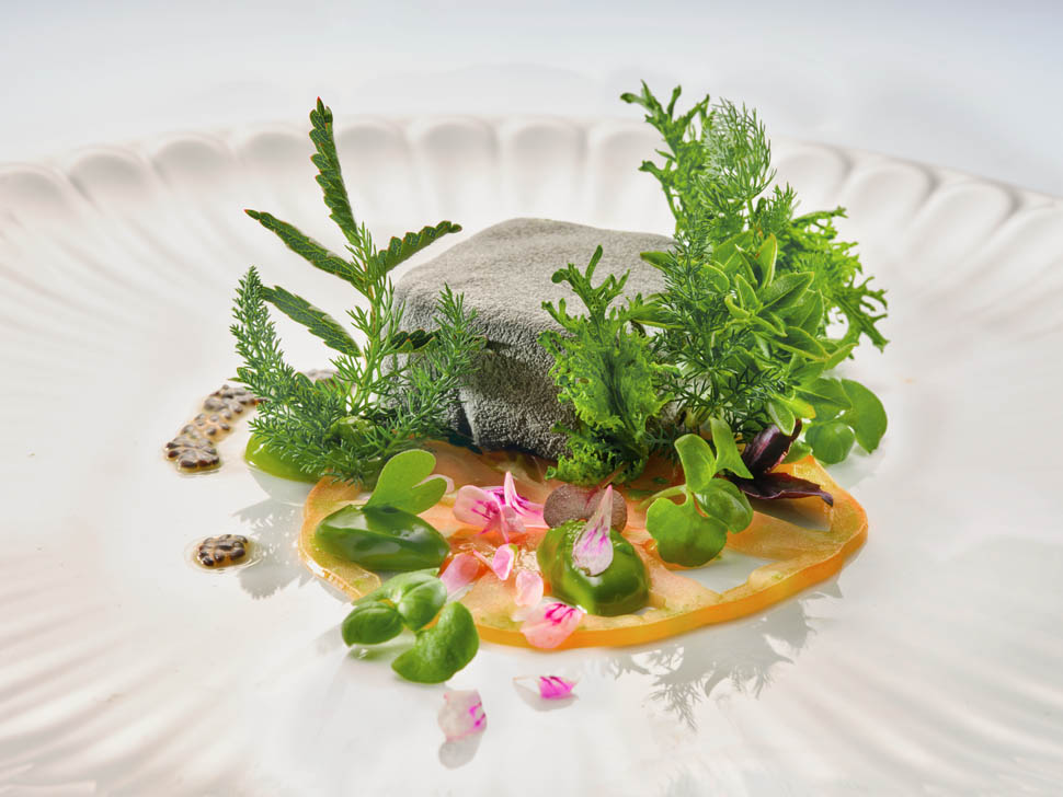 001 foto Janez Puksic