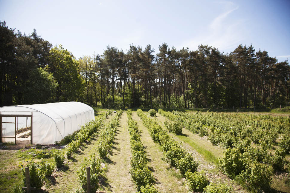 01KadeauBornholmNationalGeographic MarieLouiseMunkegaard