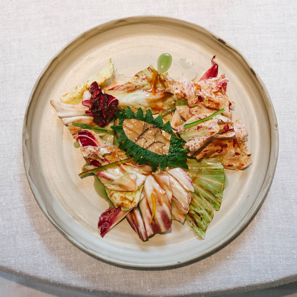 02a radicchio prugna 01