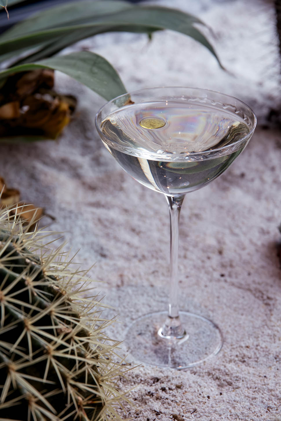 06 Europa palace credits Bonazinga