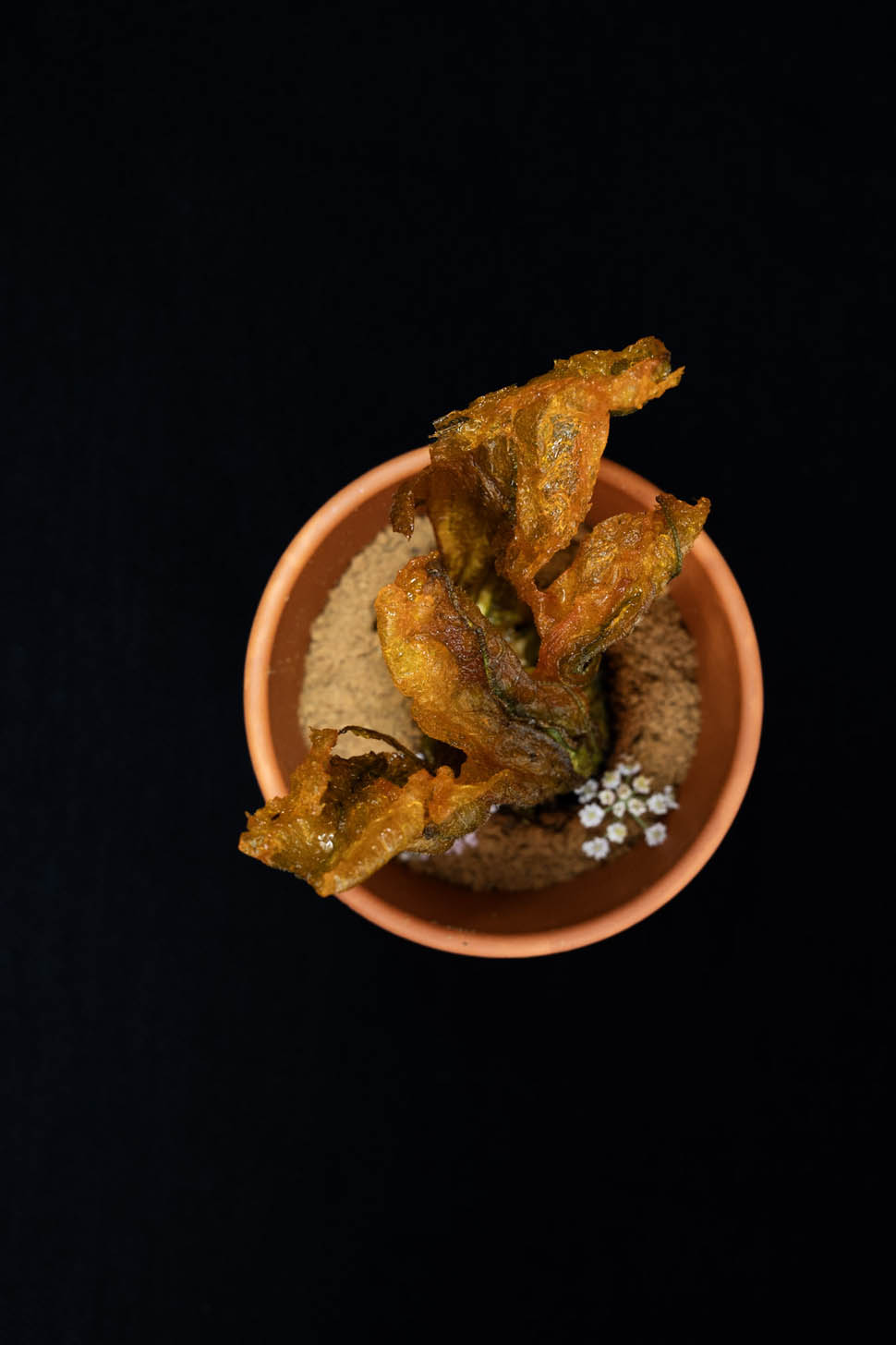 111 2025 12 31 00 36 16