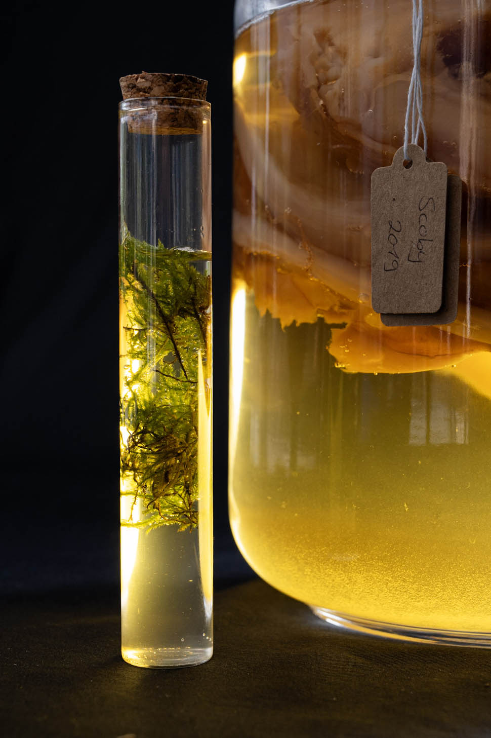 121 2025 09 19 09 44 44