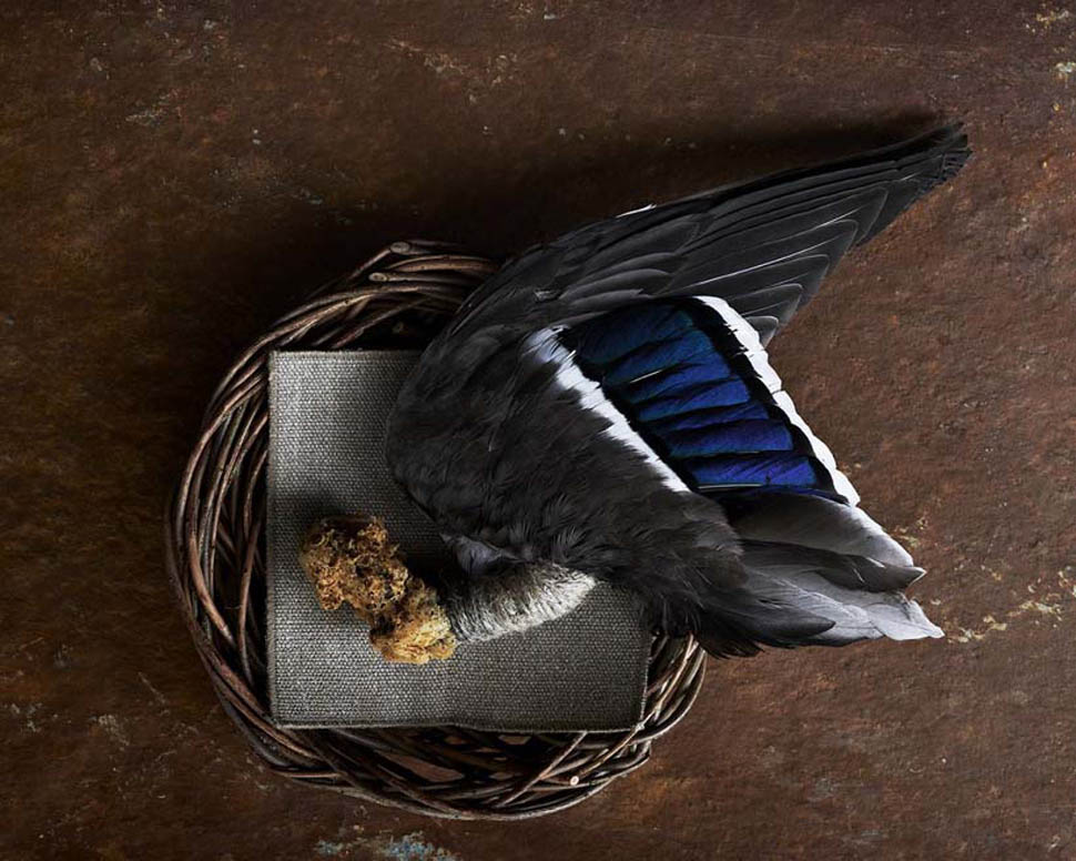 15 rene redzepi duck feast