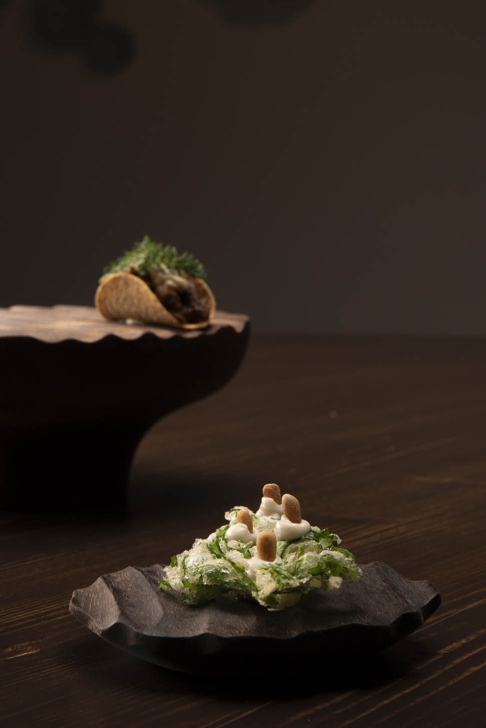 2 EntreAperitivo Brodo radicchio di campo tacos 7