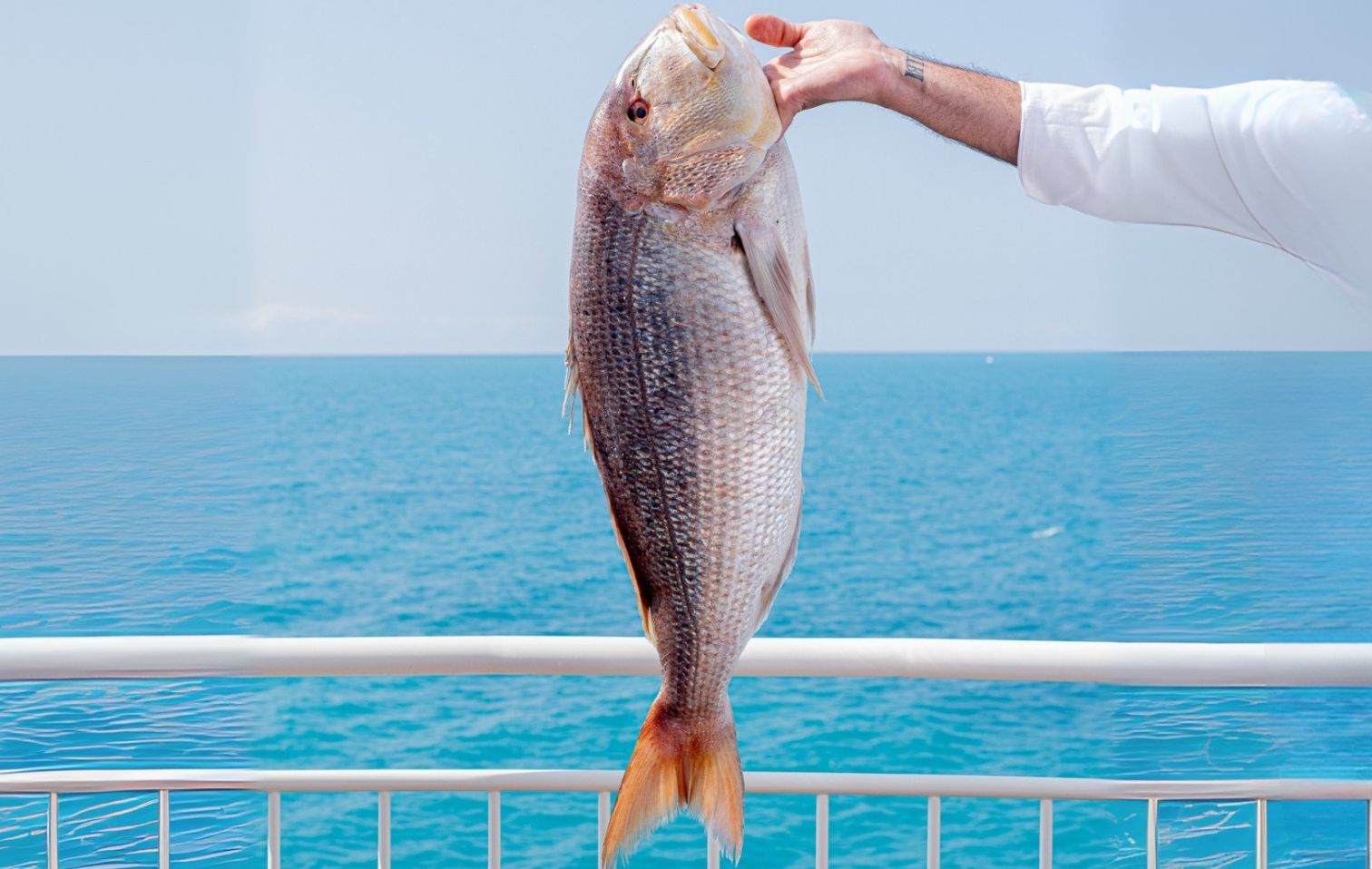 21 2025 08 18 15 51 56