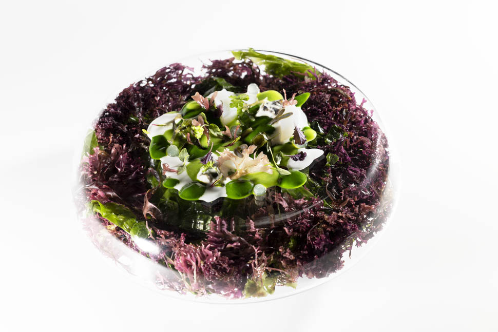 4 IL MILIONE MAREA ALTA