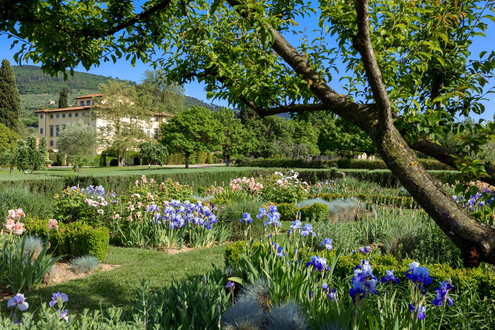 4 Villa La Massa Iris Garden