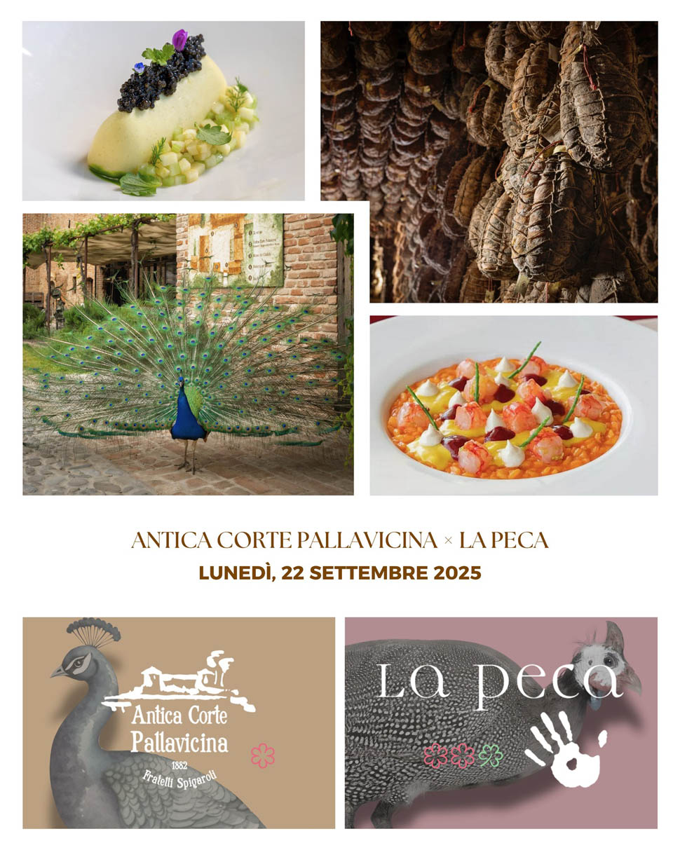 538273760 1190629983105930 7080563050579375087 n