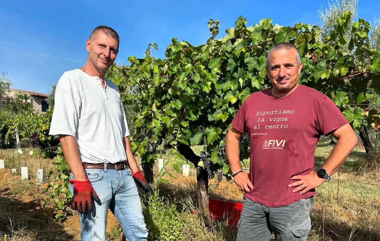 6 2025 12 15 14 35 19