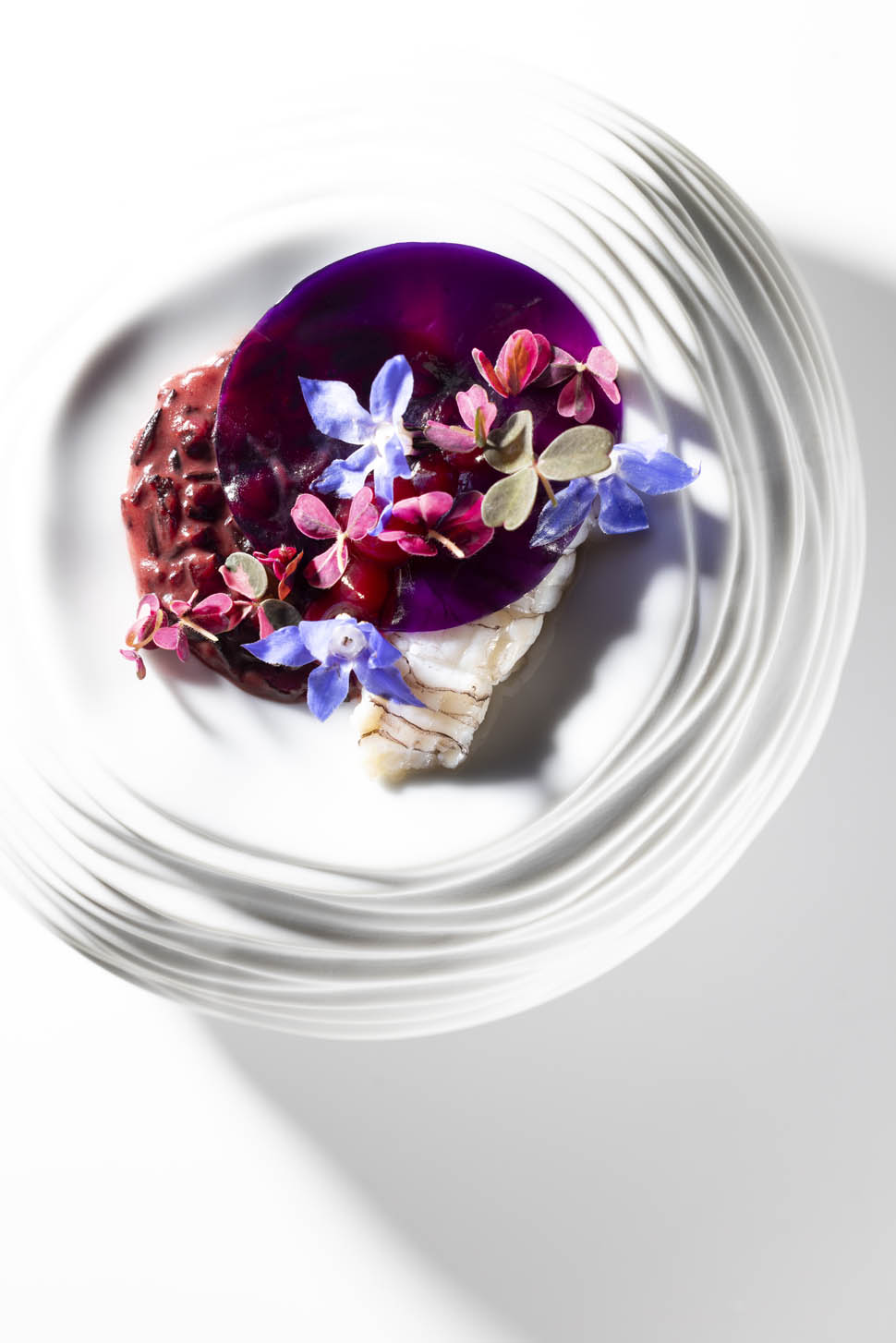 7 IL MILIONE UNA HISTORIA MILENARIA1