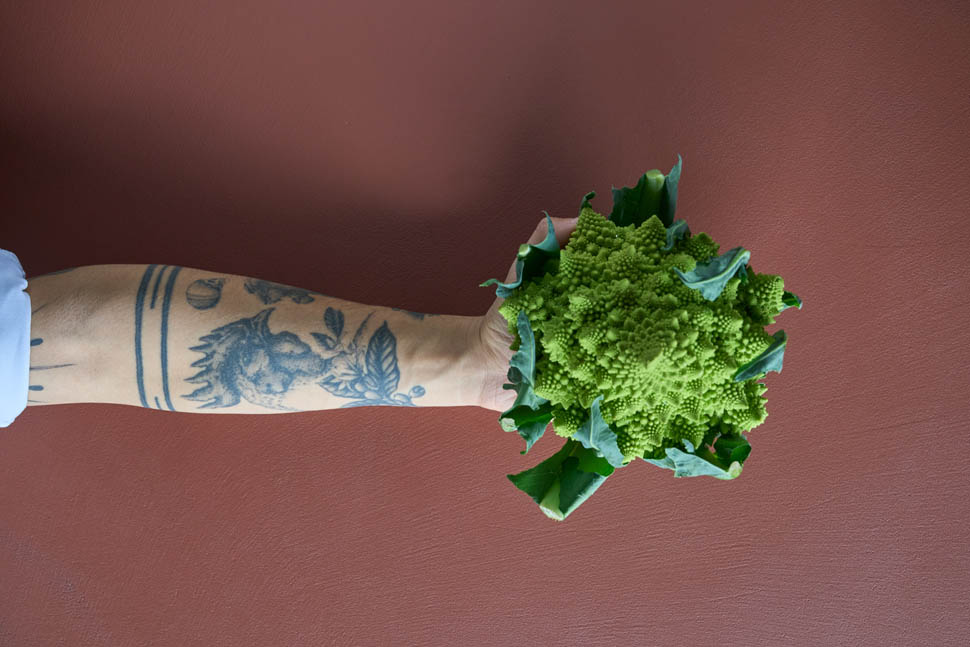 ALTO Menu Veg FW 2024 0972