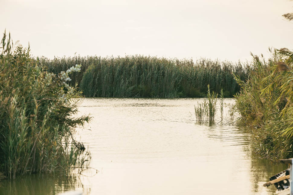 APLEC2025 DOArrozValencia Barana RodrigoMarquez 002