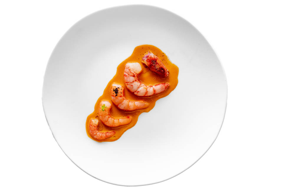 Albert Adria Enigma Shrimp cycle of life moitorne food