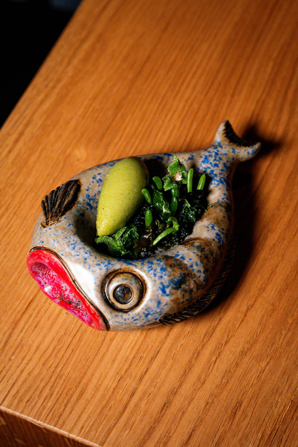 Alghe1 2026 04 04 01 17 48