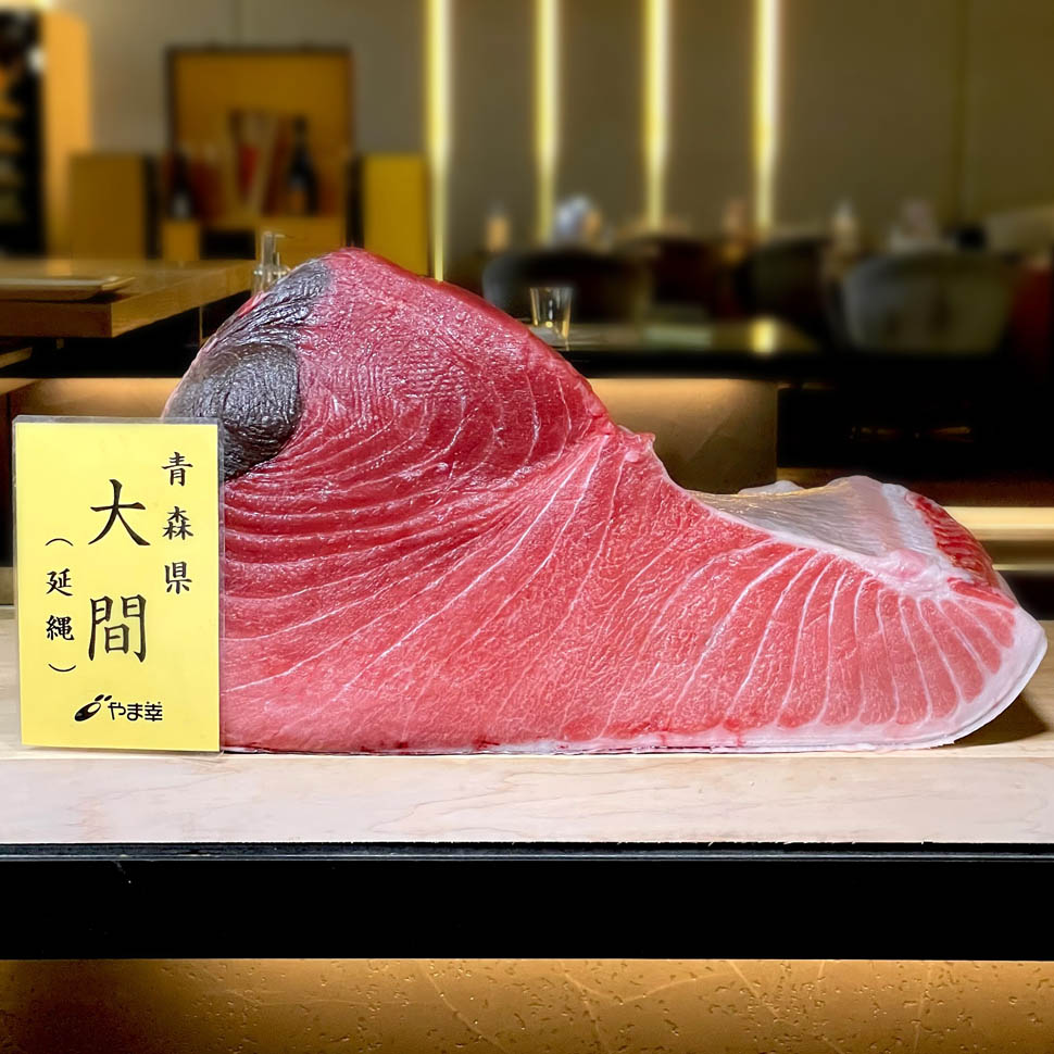 Bluefin Tuna Takahisa