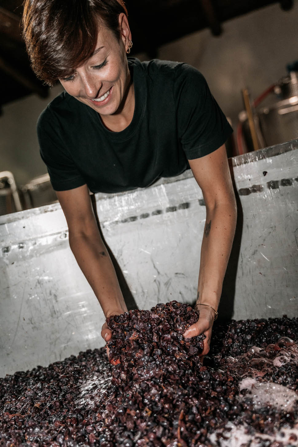 Brandini Harvest23 G 04718