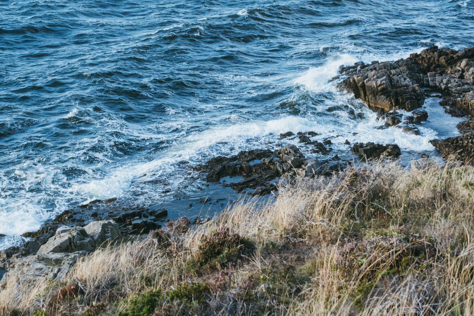 BurntSaltStudio GillesDraps Kadeau Week28 82