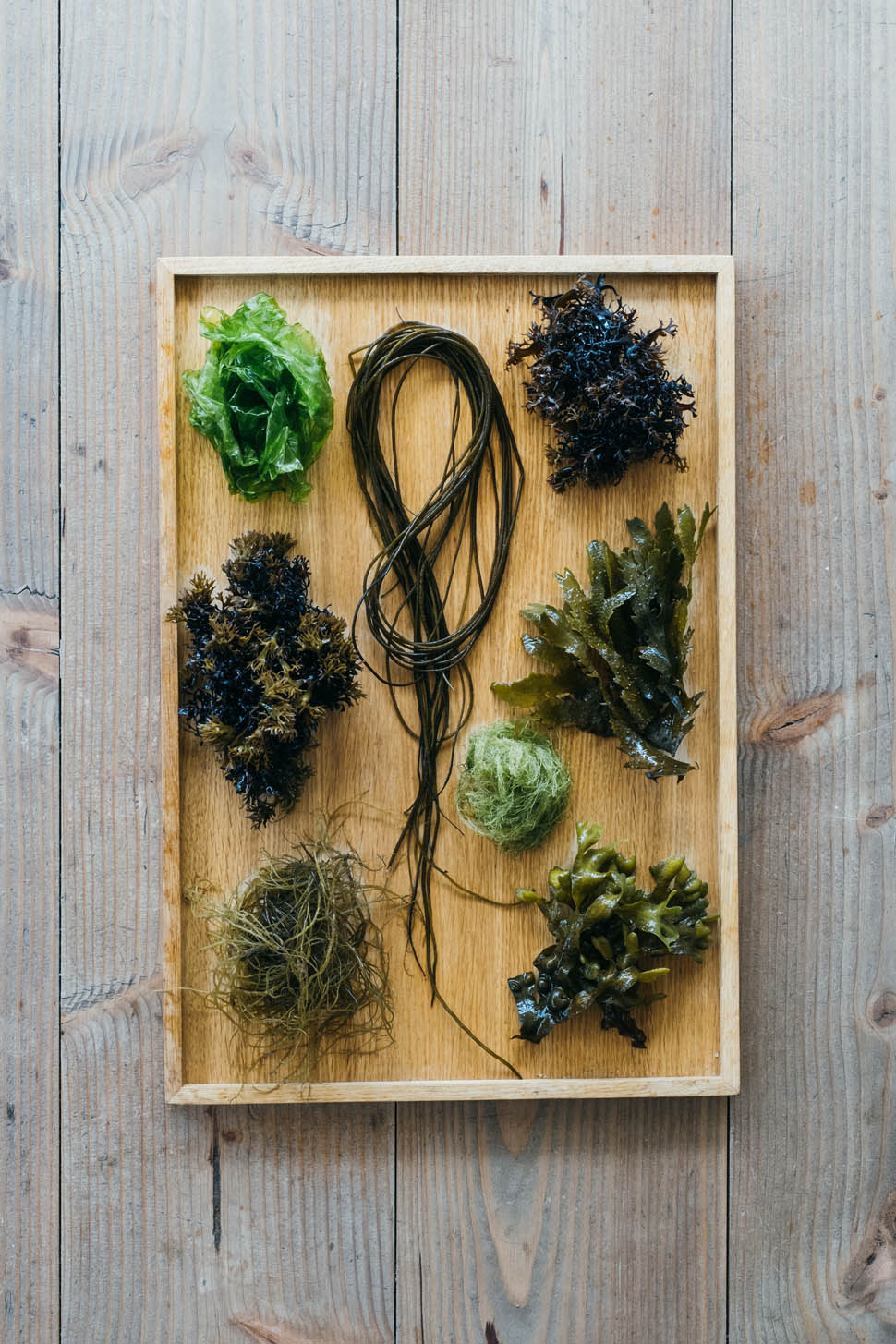 BurntSaltStudio GillesDraps Kadeau Week303132 45