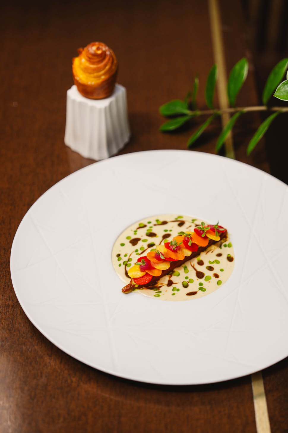 CAROTA 1 2026 01 20 15 12 34