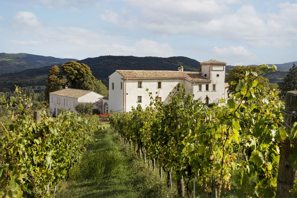 CASADONNA Outdoor Vineyard credits Helenio Barbetta 2025 08 30 08 47 19