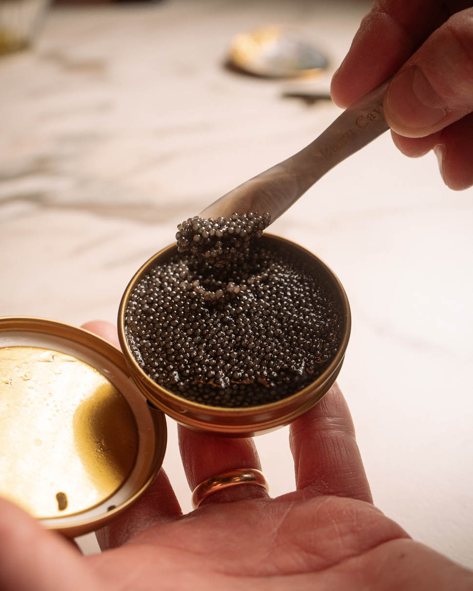 CAVIALE