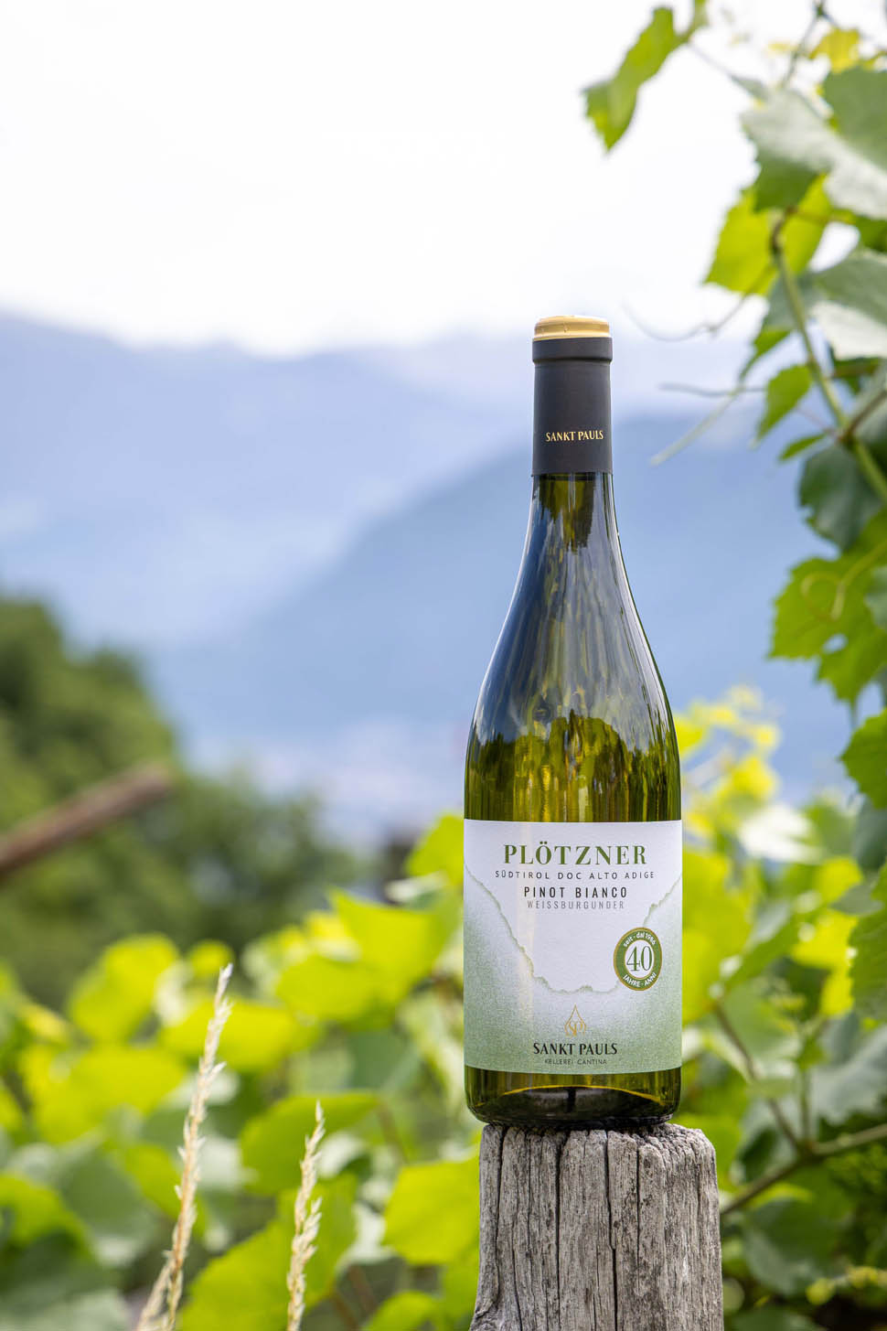 Cantina Sankt Pauls Plotzner Pinot Bianco 2025 40esima annata nel suo vigneto originario AlexanderSchwarz