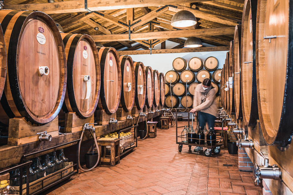 Cantina Sant Andrea Shop 1