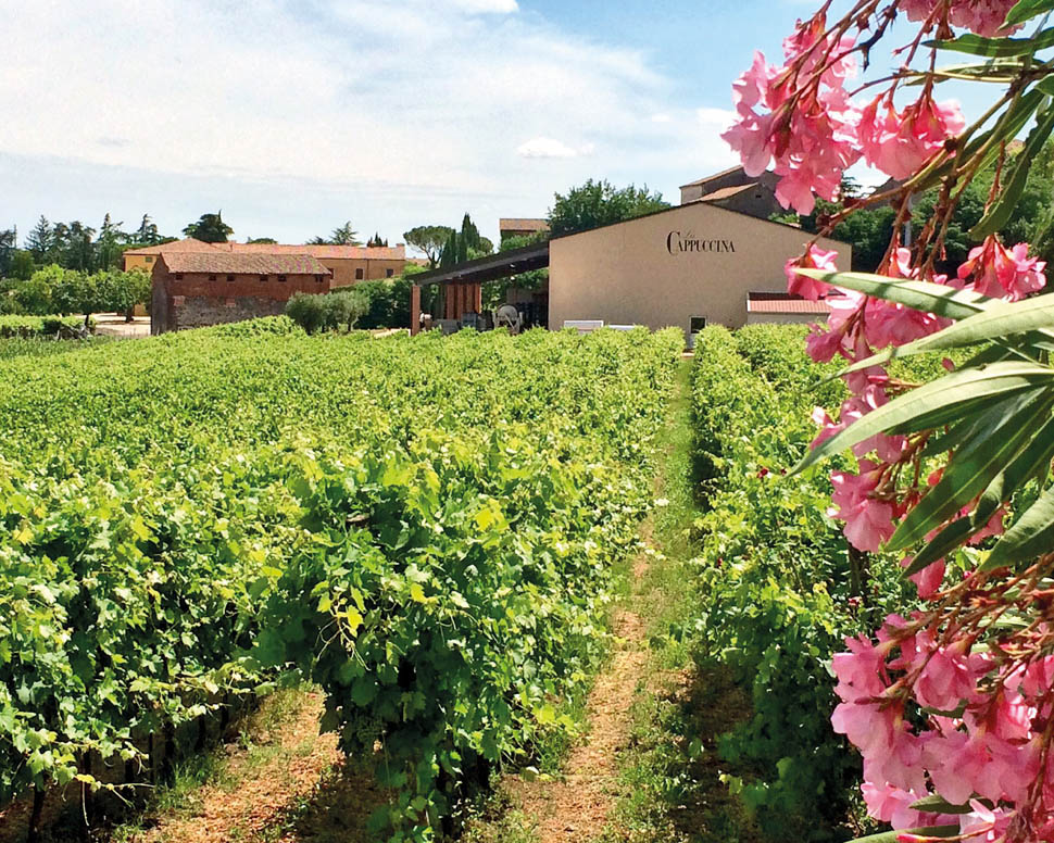 Cappuccina cantina cellar summer san brizio
