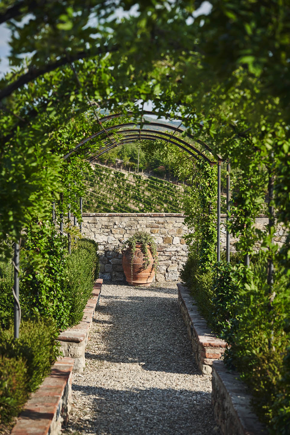 Castello di Meleto 86 1