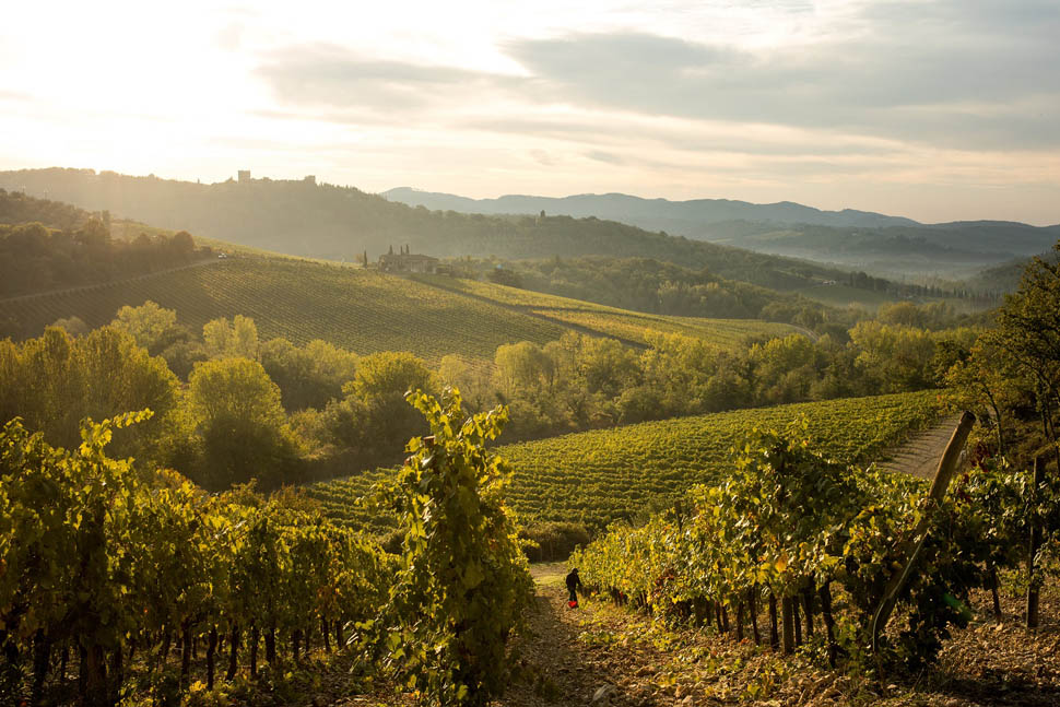 Castello di Meleto 86 2