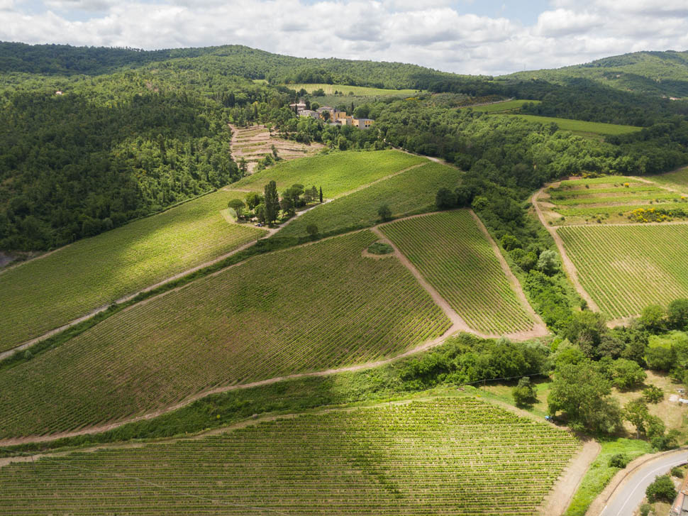 Castello di Querceto vigne castellodiquerceto 2025 09 26 16 48 19