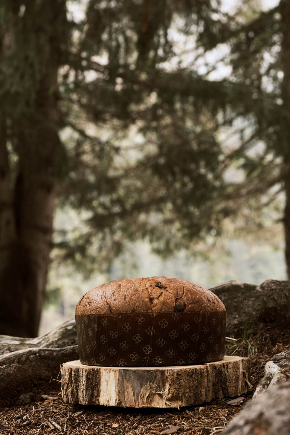 Ciacco Panettone Amaro 1