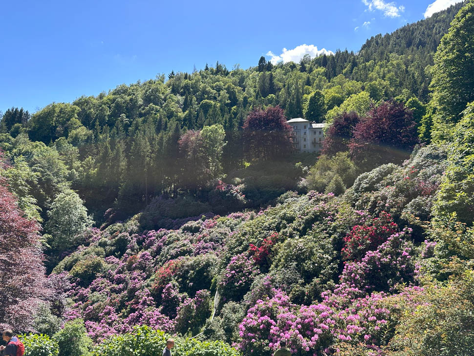 Conca dei Rododendri