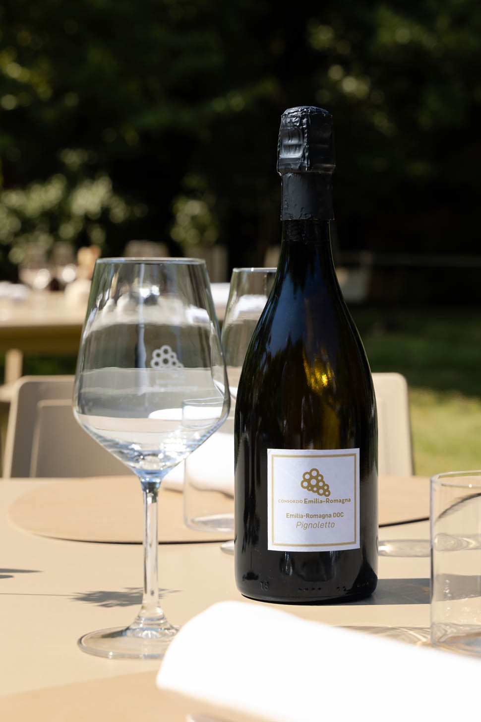 Consorzio Emilia Romagna 05