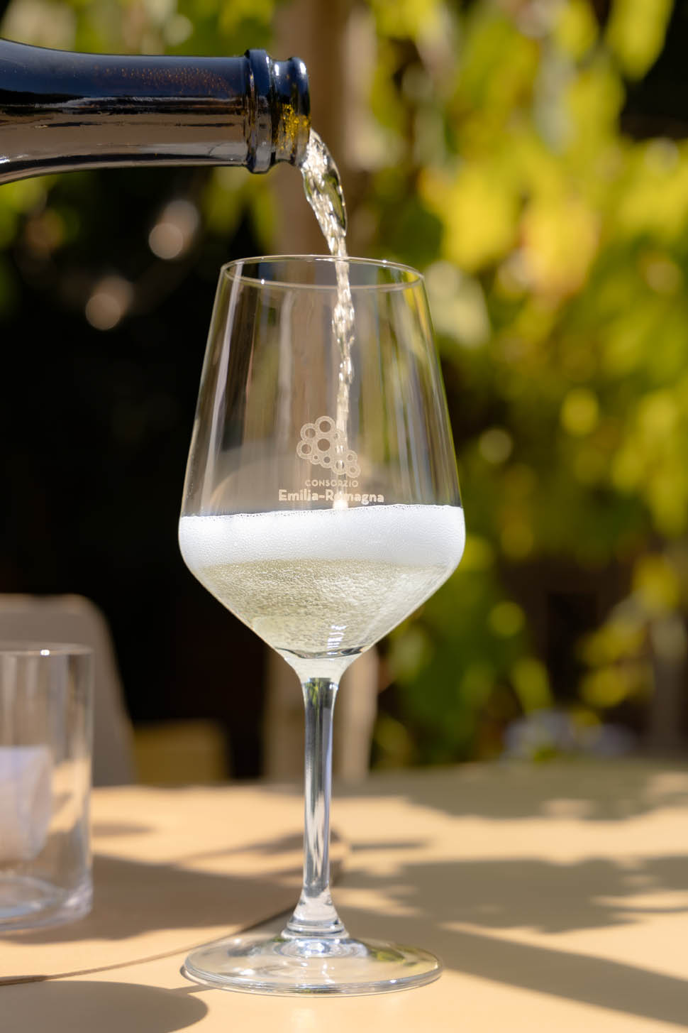 Consorzio Emilia Romagna 09
