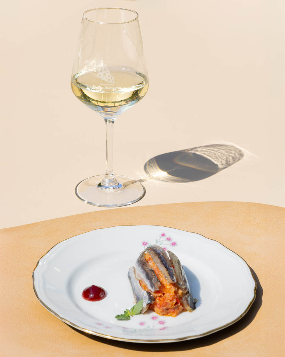 Consorzio Emilia Romagna 67