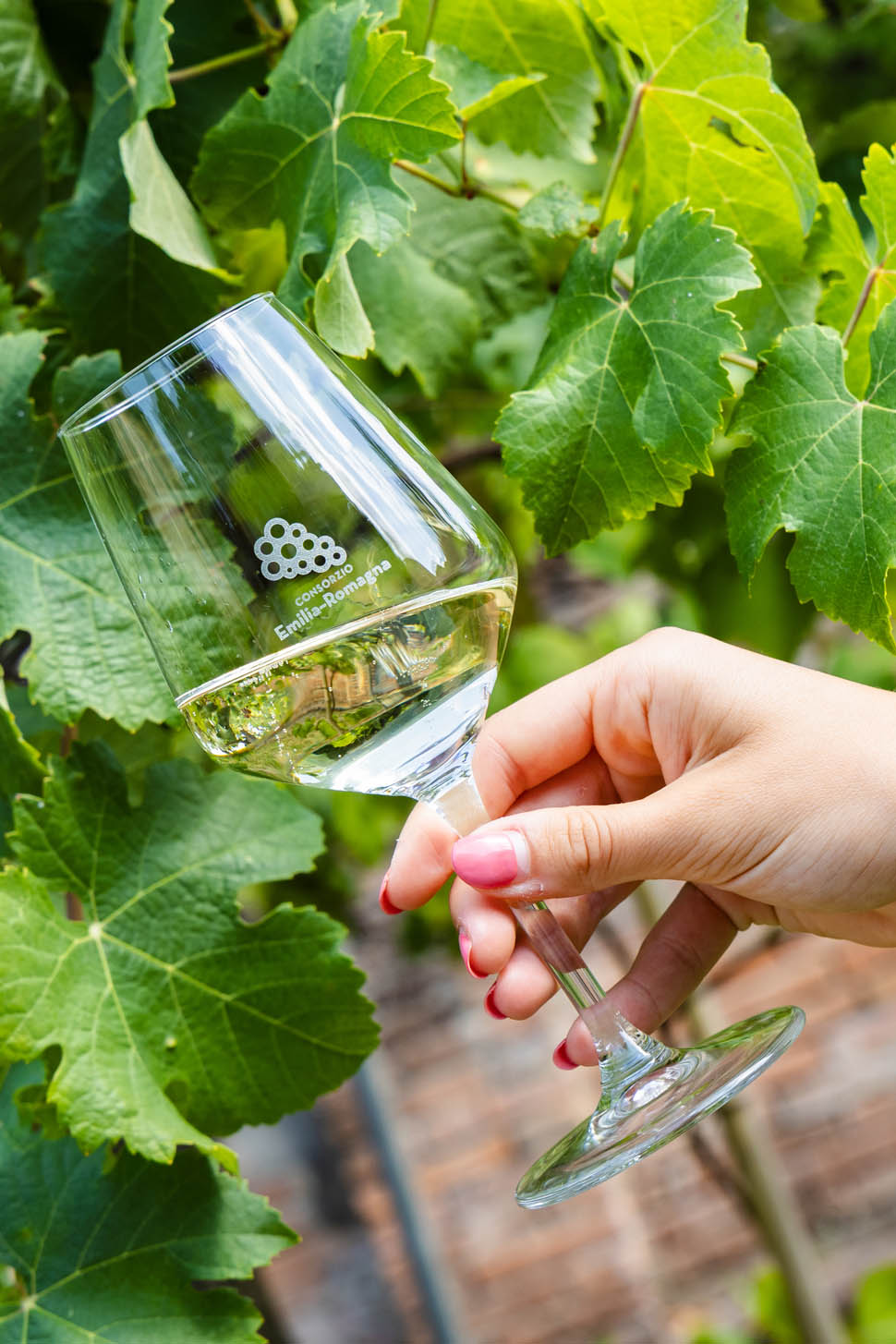 Consorzio Emilia Romagna 69