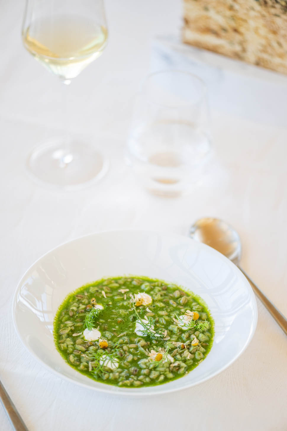 Copia di wisthalercom 24 01 tillia HW81320