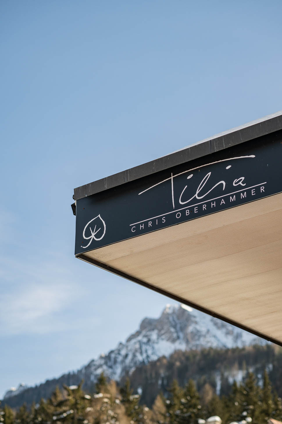 Copia di wisthalercom 24 01 tillia HW81644