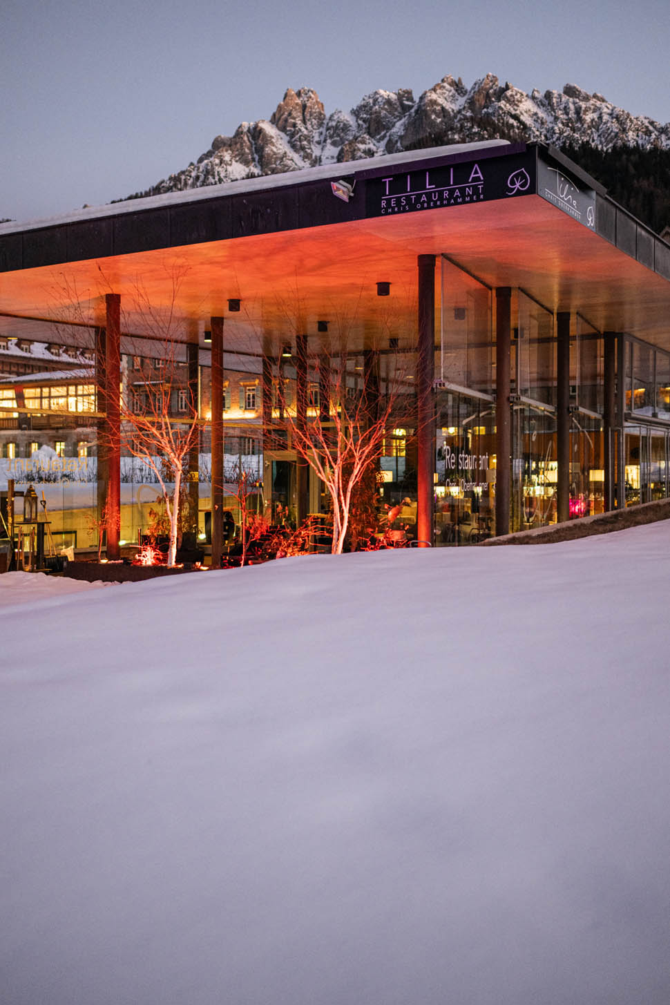 Copia di wisthalercom 24 01 tillia HW83920