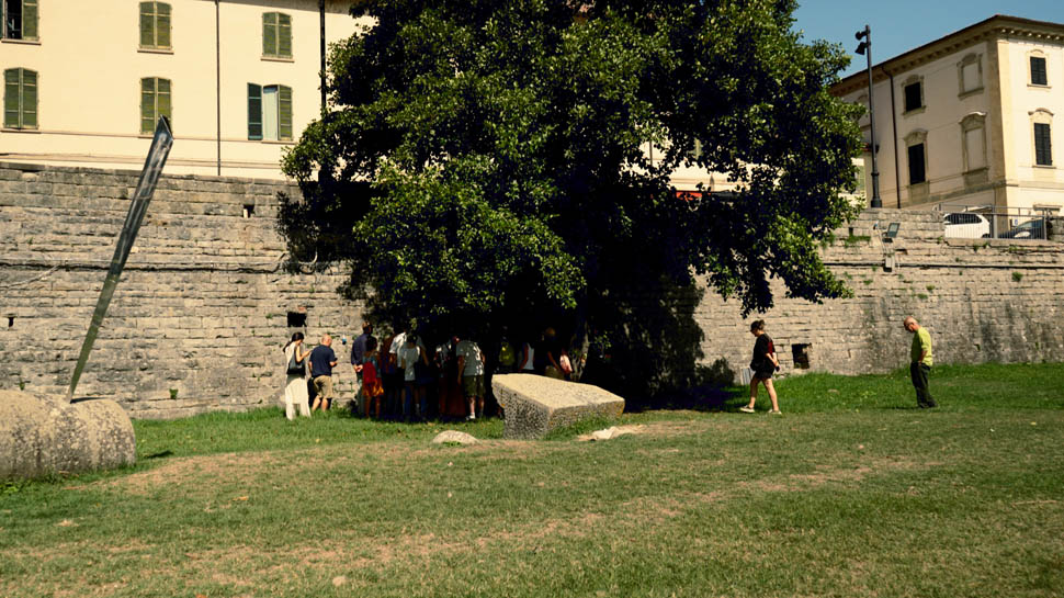 Copy of Foraging Sabato mattina Leonardo Peruzzi 2
