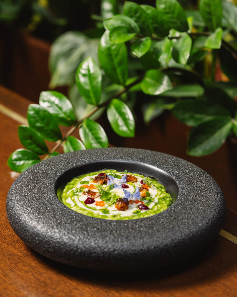 Cortile Spirito Santo risotto anguilla borragine agrumi