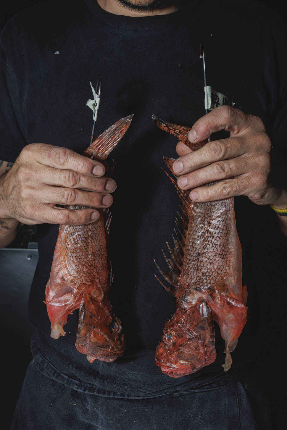 Cucina Food Writers ph Jacopo Salvi01