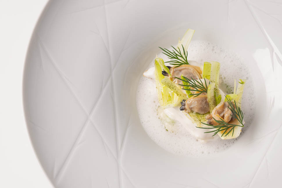 DENTICE AI CARBONI FINOCCHI JUS DI MOLLUSCHI AROMATIZZATO AL LEMON GRASS E VONGOLE VERACI 