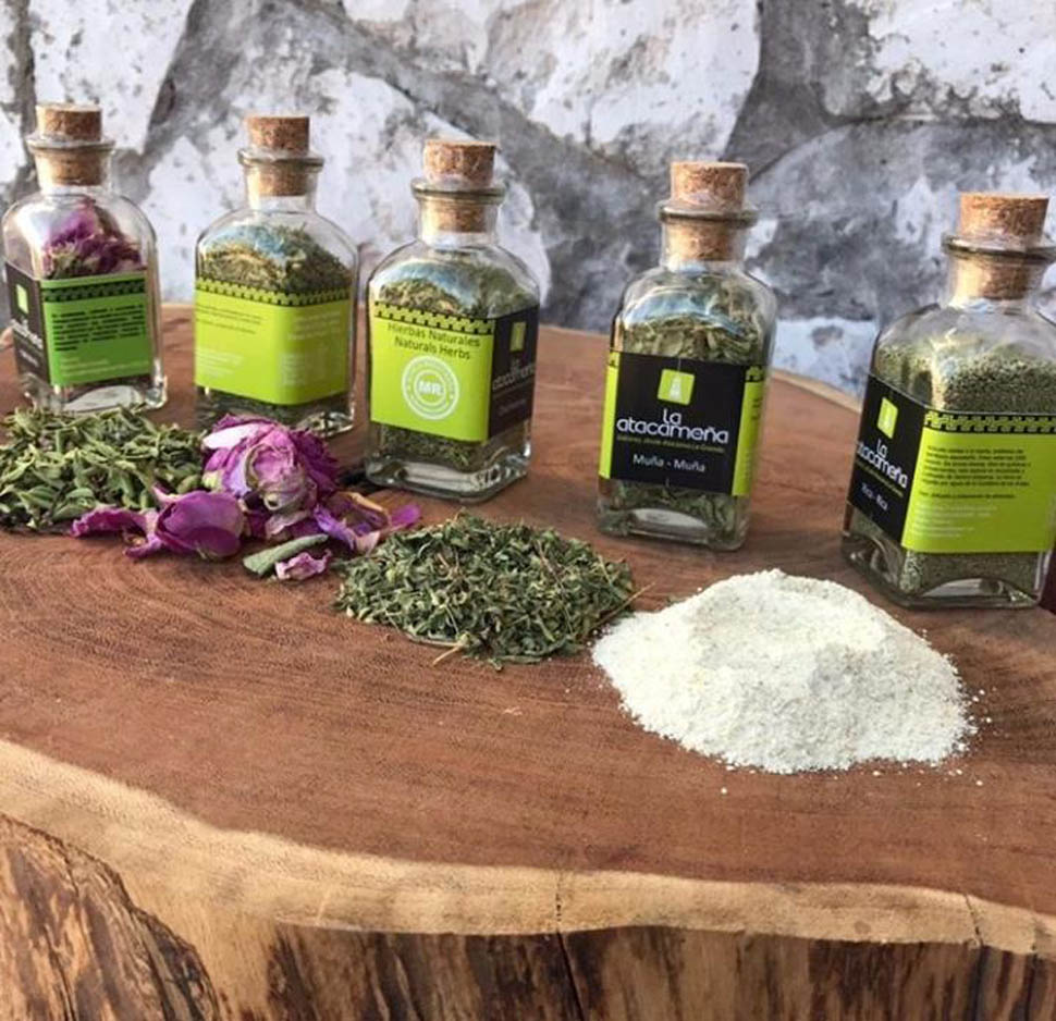 DESERTO de Atacama Chile